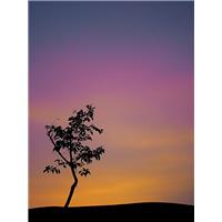 ااااا     ااااا