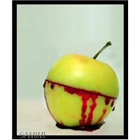 BLOOD  APPLE