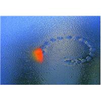 نفسهای ماهی یخی