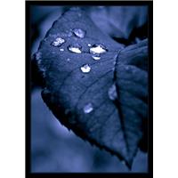 Last Tear